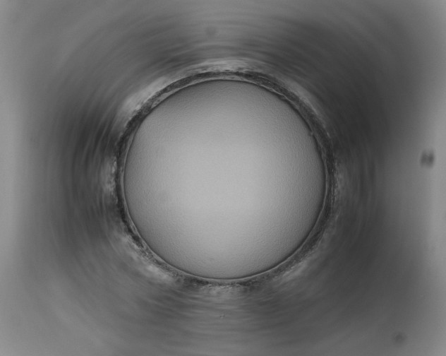 X0000112510778200908311332