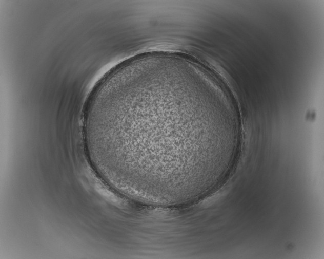 X0000112510779200908311332