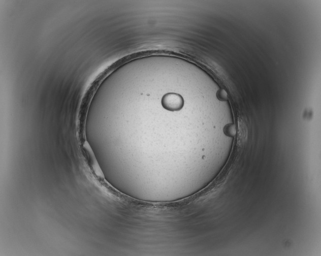 X0000112510780200908311332