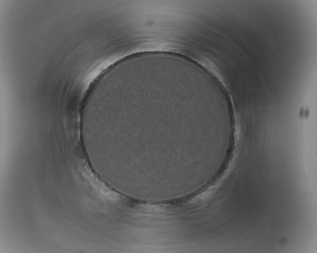 X0000112510781200908311332