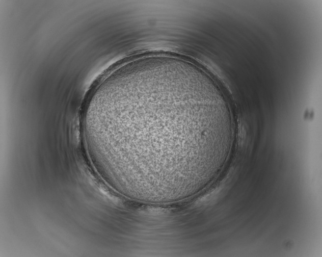 X0000112510782200908311332