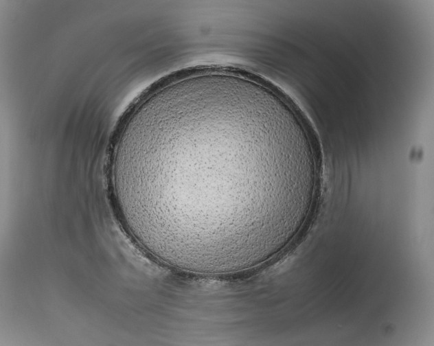 X0000112510783200908311332