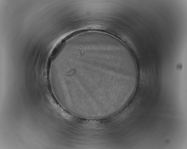 X0000112510784200908311332