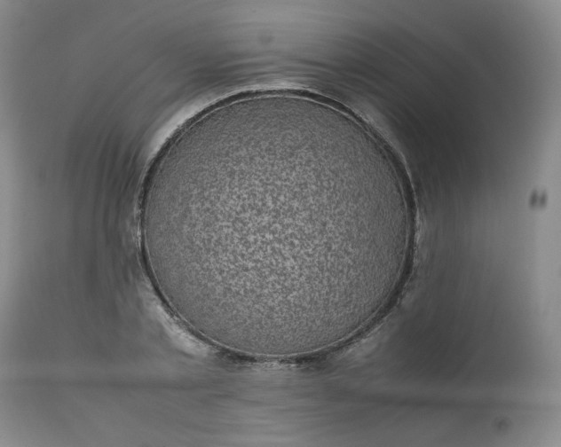 X0000112510789200908311331