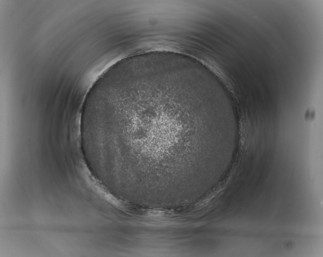 X0000112510790200908311331