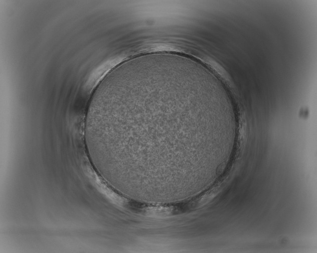 X0000112510793200908311331