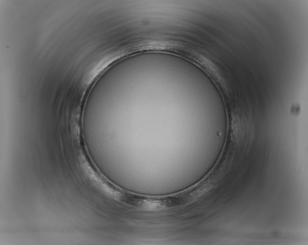 X0000112510794200908311331