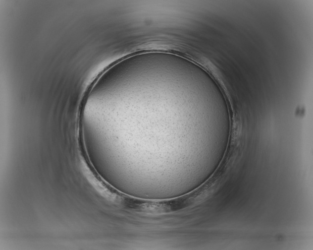 X0000112510795200908311331