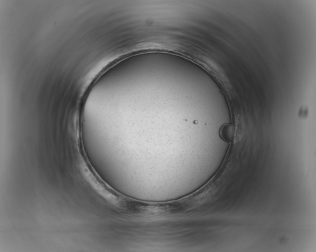 X0000112510796200908311331