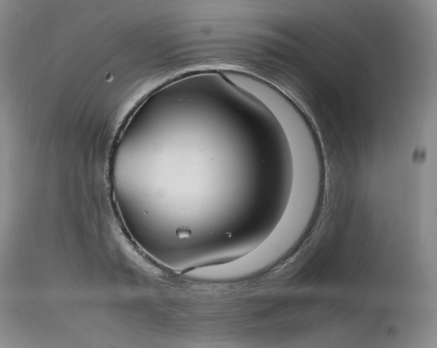 X0000112510797200908311331