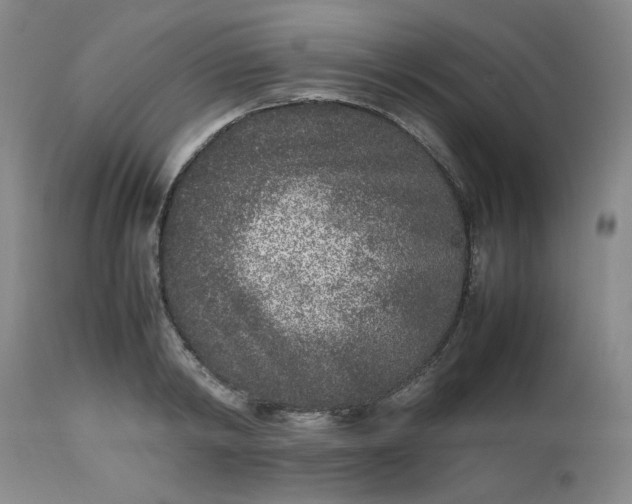 X0000112510798200908311331