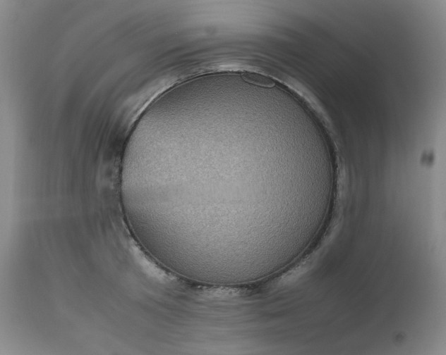 X0000112510801200908311331