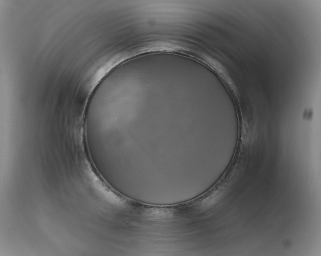 X0000112510802200908311331