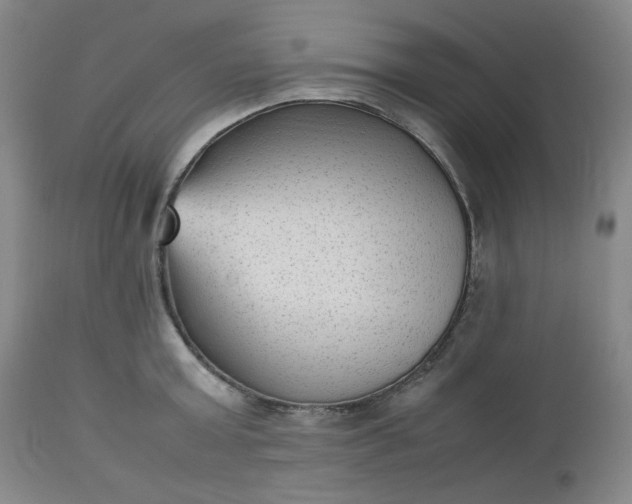 X0000112510803200908311331