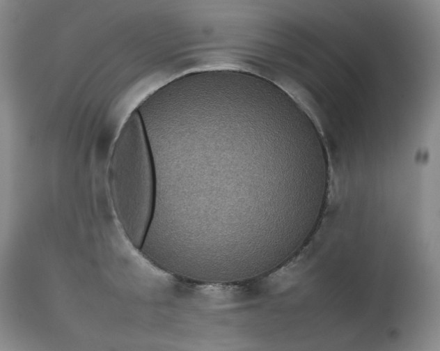 X0000112510805200908311331