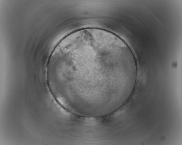 X0000112510807200908311331