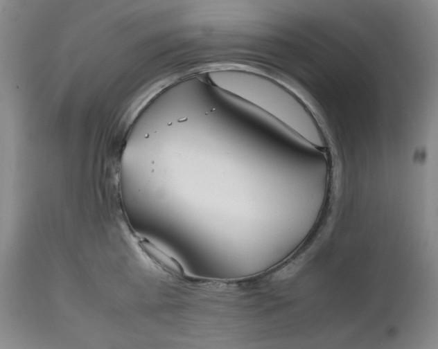 X0000112510809200908311331