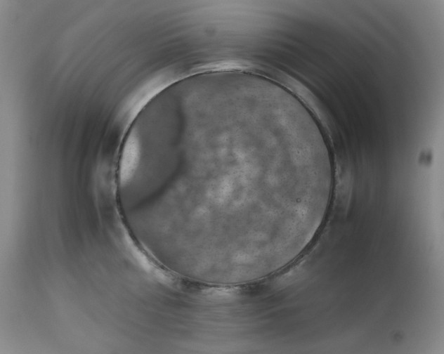 X0000112510810200908311331