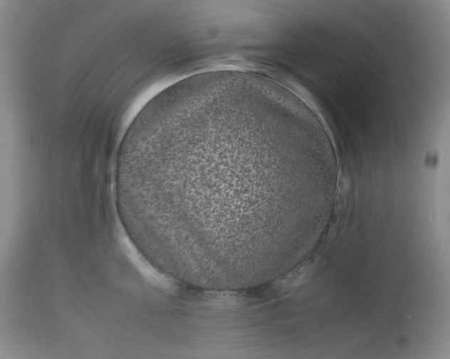 X0000112510811200908311331