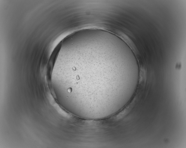 X0000112510812200908311331