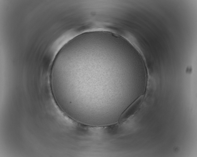 X0000112510813200908311331