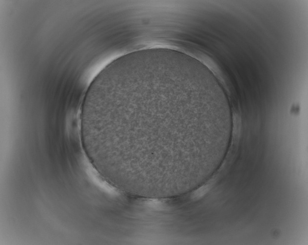 X0000112510814200908311331