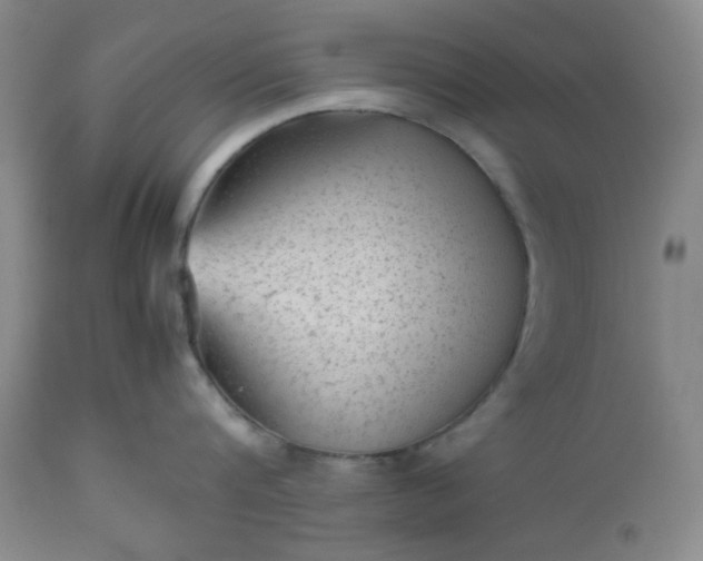 X0000112510816200908311331