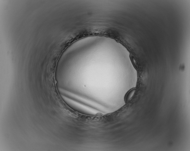 X0000112510817200908311330