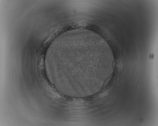 X0000112510818200908311330