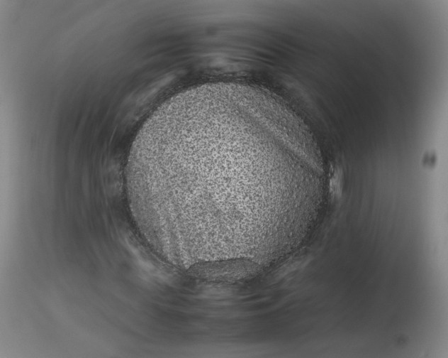 X0000112510819200908311330