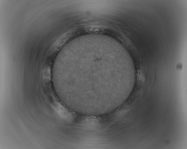 X0000112510820200908311330