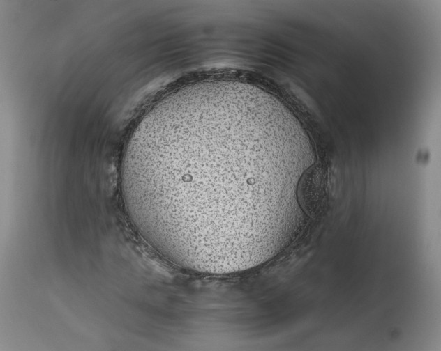 X0000112510821200908311330