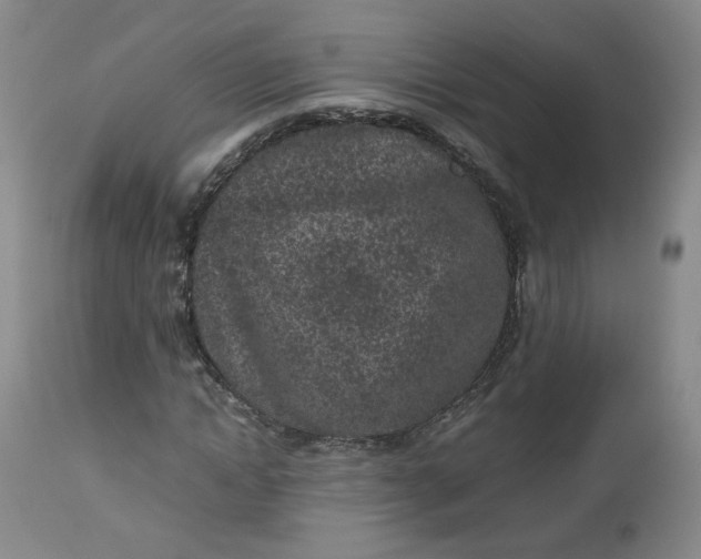 X0000112510822200908311330