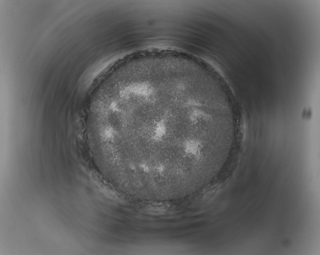 X0000112510823200908311330