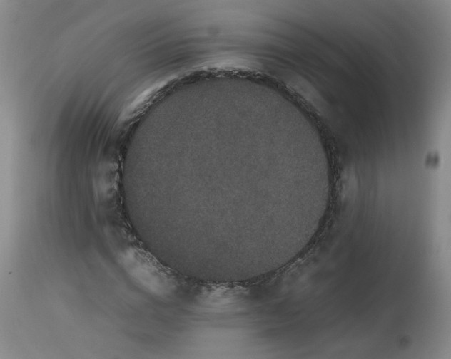 X0000112510824200908311330