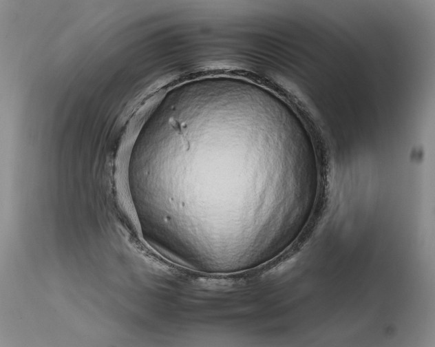 X0000112510825200908311330