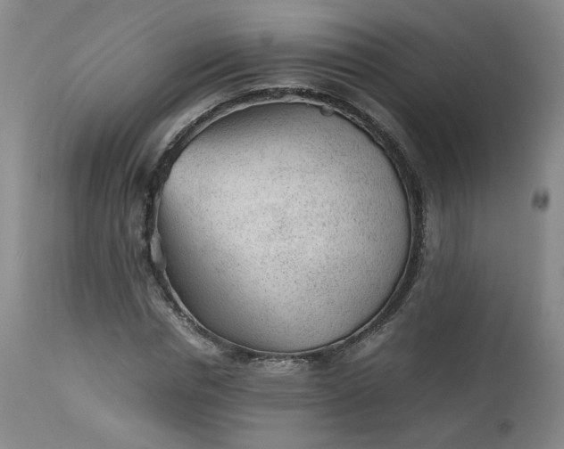 X0000112510826200908311330