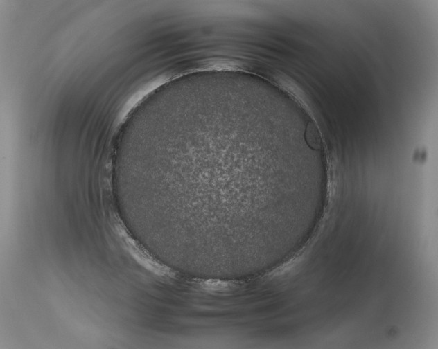 X0000112510827200908311330