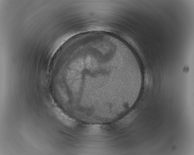 X0000112510828200908311330