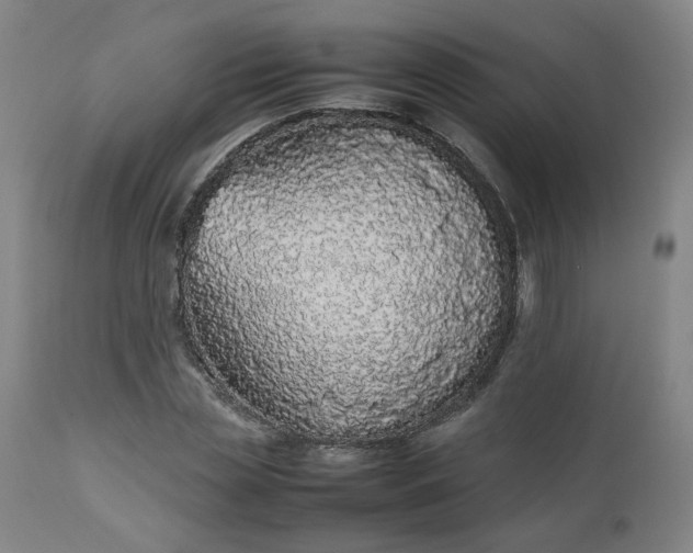 X0000112510829200908311330