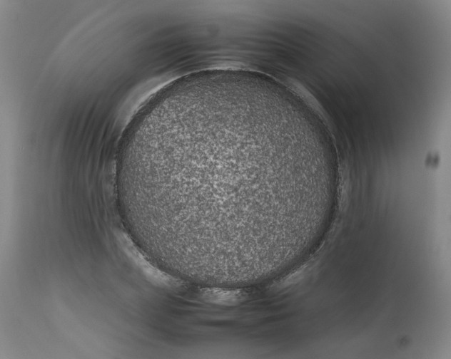 X0000112510831200908311330