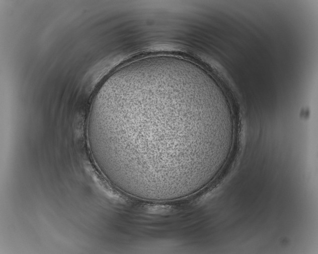 X0000112510833200908311331