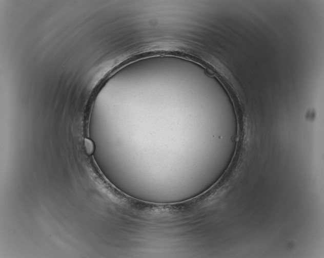 X0000112510834200908311331