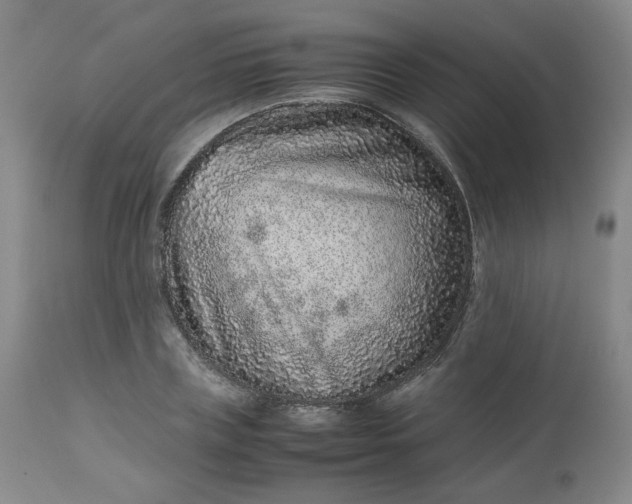 X0000112510835200908311331