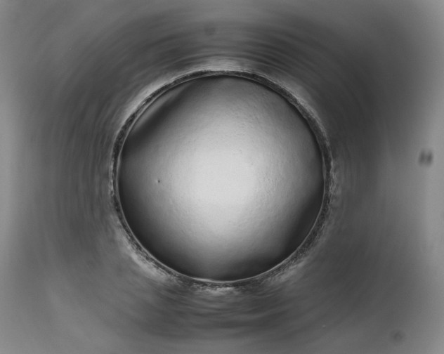 X0000112510837200908311331