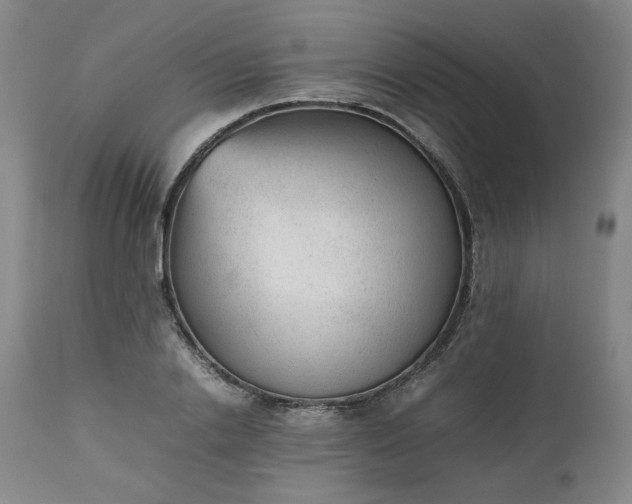 X0000112510838200908311331