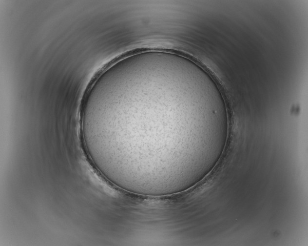 X0000112510840200908311331