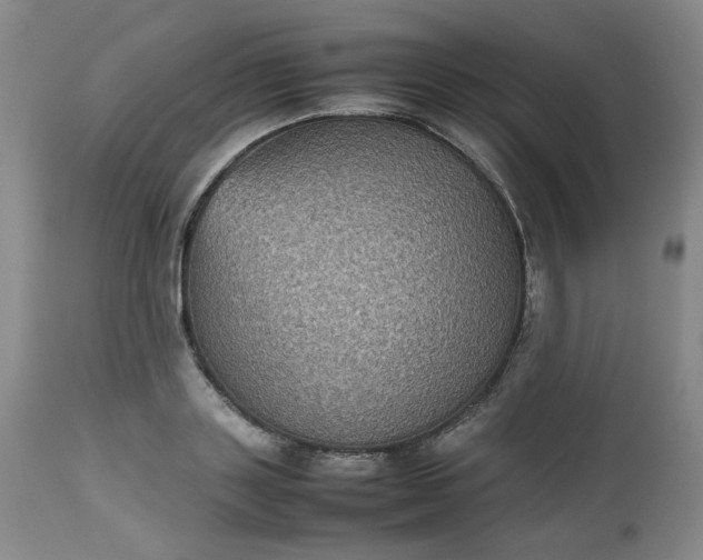 X0000112510843200908311331