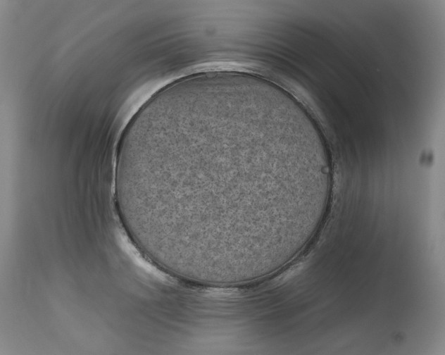 X0000112510844200908311331