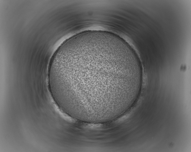 X0000112510845200908311331